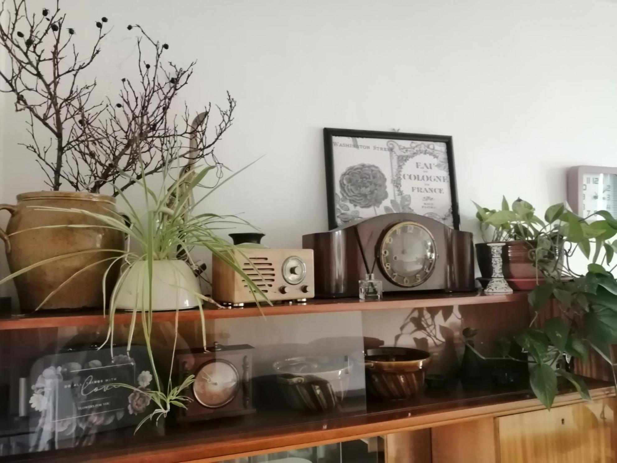 Emma Apartment Nova Lesna Luaran gambar