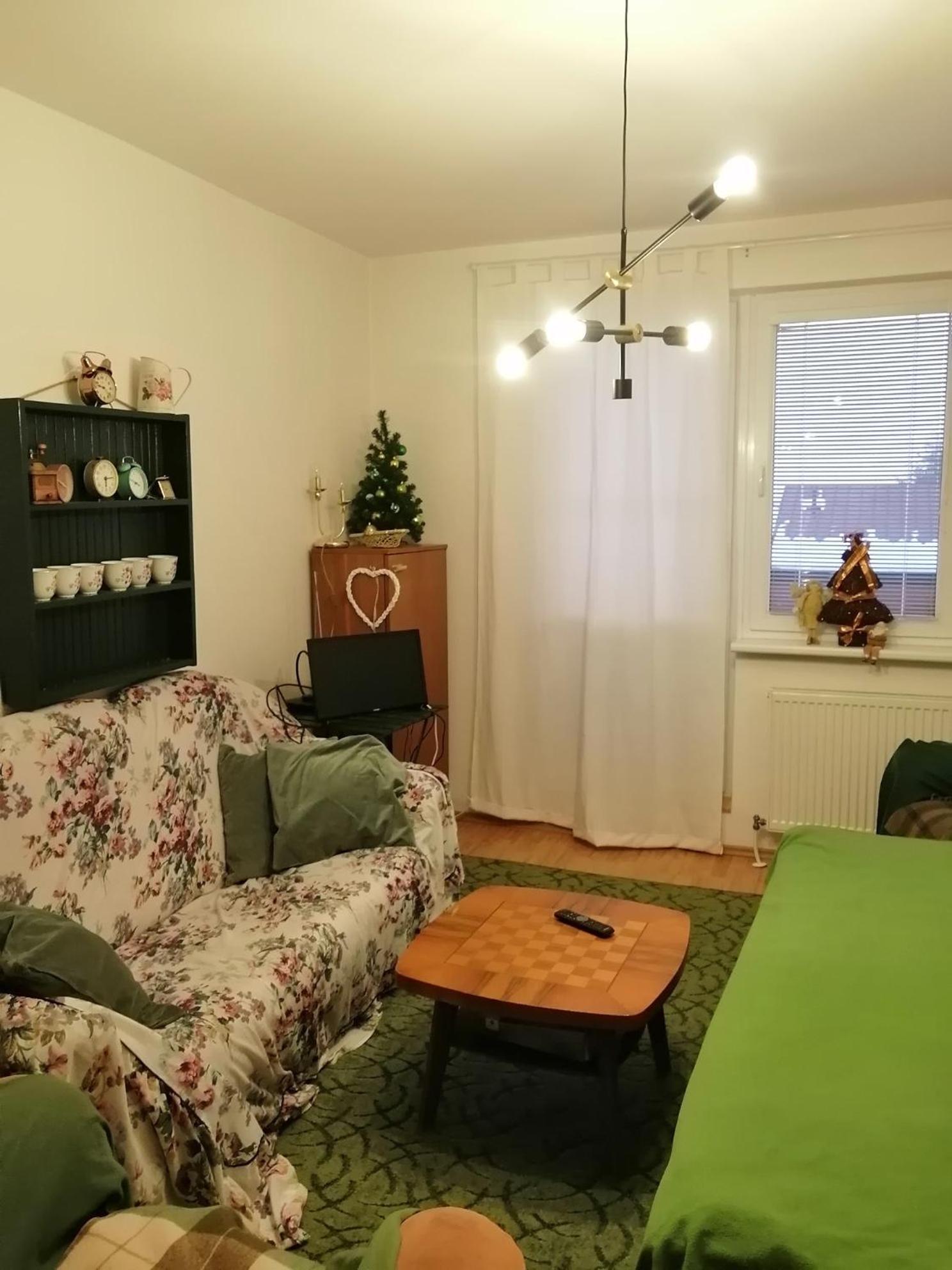 Emma Apartment Nova Lesna Luaran gambar